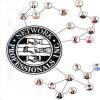 Photo for Professional Business Networking Groups