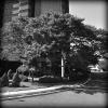 Photo for Teaneck Marriott at Glenpointe 5.1 miles to the east of Teaneck dentist Rolando Cibischino DMD