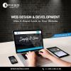 Photo for Web Design and Development Services | Website Development USA-Epikso Inc.
