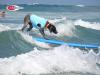 Photo for Helen Woodward Dog Surfing Event Videos Including Best Dog Surfing Ride Ever!