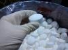 Photo for Asia-Pacific Sodium Cyanide Market sales volume Report 2017: Radiant Insights, Inc