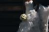 Photo for Bridal Gowns Market Driven by Rising Spending on Bridal wear in Various Cultures World Over