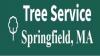 Photo for Tree Service Springfield MA