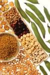 Photo for Global Forage Seeds Market: Increasing Profitability of Agriculture and Livestock Farm to Drive North America’s Dominance