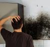 Photo for Mold Removal Grand Island
