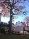 Photo for Leath & Daughter Home Improvement LLC