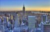 Photo for Elite Insurance of New York