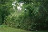 Photo for Tanasi Coves Tellico Village Lot for sale