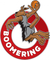 Photo for boomering perth
