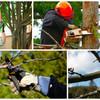 Photo for Wesley's Tree Service