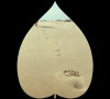 Photo for RUBANIA - Eco Friendly Plots in Bangalore