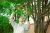 Photo for Greg's Tree Service