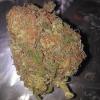 Photo for hightimedispensary
