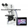 Photo for Global New Research Report Document Imaging Market - Industry Analysis, Size, Share, Growth, Trends and Forecast 2017 - 2025