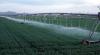 Photo for Center Pivot Irrigation Systems Market 2017 : Size, Trends, Analysis, Growth and Future Scenario Until 2025