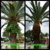 Photo for K-Diaz Landscaping Inc