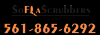 Photo for South Florida Scrubbers - Gutter Cleaning & Window Cleaning
