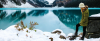 Photo for Travel Insurance Quotes
