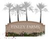 Photo for Finley Farms Gilbert AZ Real Estate: A Fantastic Investment