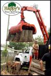 Photo for Hap's Tree Service Pros