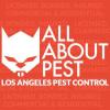 Photo for All About Pest