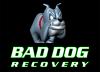 Photo for BAD DOG RECOVERY / Repossession Specialists