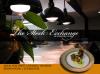 Photo for THE STOCK EXCHANGE at OLD CITY HALL / a quaint dining experience with a choreographed menu of celebrated cuisines in a exquisite, historical setting