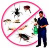Photo for Murdstone Pest Control
