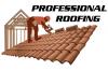 Photo for PROFESSIONAL ROOFING