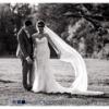 Photo for Nigel Chapman Photography | 07979812970