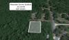 Photo for Beautiful .42 Acre Wooded Lot near Suwannee River- Owner Financing