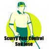 Photo for Scurry Pest Control San Jose
