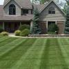 Photo for Brown's Quality Lawn's Care, Junk and Trash Removal & Foreclosure Clean-up