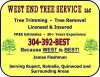 Photo for West End Tree Service