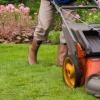 Photo for MC Tree Service