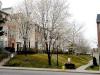 Photo for 2 or 3 bedroom 2.5 bath society Hill Townhouse