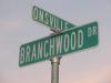 Photo for November 2010 Branchwood Subdivision Market Statistics