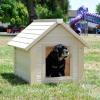 Photo for Select from a handpicked list of air conditioned dog houses in budget.