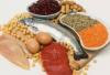 Photo for Meat Alternates Global Market Status and Outlook Report 2017- Radiant Insights, Inc