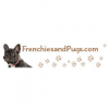 Photo for Frenchies and Pugs
