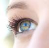 Photo for HAUPPAUGE VISION CENTER INC
