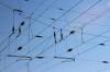 Photo for Railway Cables Market by Applications, Geographic Regions, Industry Chain Structure and Future Opportunities