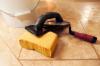 Photo for Maid Solution Services Corp
