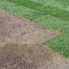 Photo for Sunny Slope Sod Farm, LLC