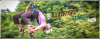 Photo for Maui Zipline | Northshore Zipline Co.