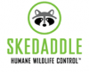 Photo for Skedaddle Humane Wildlife Control Barrie