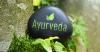 Photo for Experience Ayurvedic Practices and Feel the Big Difference for your Health