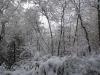 Photo for White Christmas - Murphy, NC