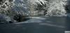 Photo for First Snow on the New England Coast