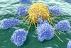 Photo for Immunotherapy Drugs Market – Global Industry Insights, Size, Trends, Outlook, and Analysis, 2017-2025